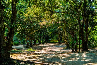 Great Green Wall: Is There a New Wonder of the World in Making?