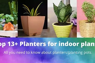 13+ best planters/planting pots for decorating your home with plants- Plantilia