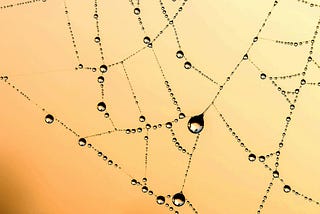 Five Insights Into Why & How Organizations Should Strive for Better Information Strategies Amid…