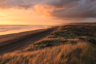 sunset by the seaside. the light is tangerine and grey. on the left is the ocean, gentle lapping waves. a narrow stretch of dark beach follows to the right, and the, a stretch of beachgrass, light orange and black in the shadows.