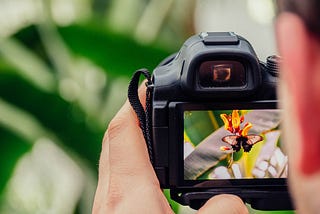 Capturing the Magic: A Beginner’s Guide to Mastering Photography 1/9