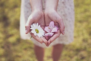 A young woman’s hands holding a couple of flowres