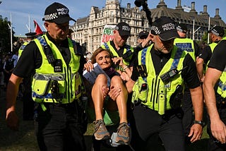 Beyond section 13: will the government dig itself out of its Palestine Action hole?