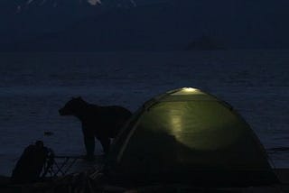 5 Ways to Survive when There is Probably a Bear Outside your Tent