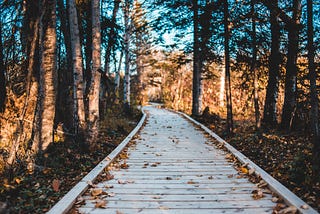 A wooden pathway through the woods on a fall day.