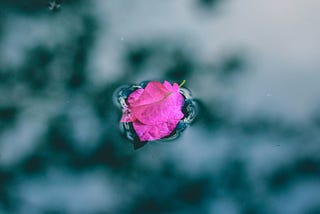 The subtle art of surrender