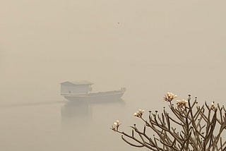 River with boat and smog. Desert rose in the foreground