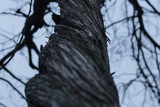 An Erotic Adventure: Ryan, Taboo and Me — Part 2