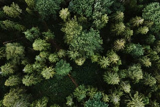 🧬 Exploring Python’s Abstract Syntax Trees (AST): Write Code That Understands Code