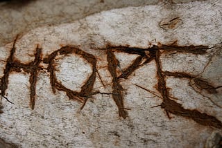 Hope: A Double-Edged Sword in Narcissistic Relationships