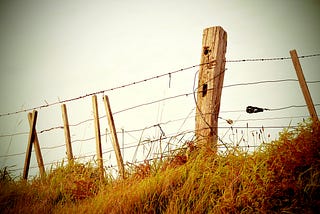 THE OLD FENCE POST