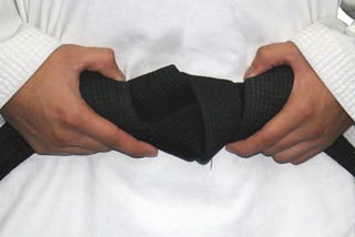 Why we should drop Job Tittles and use the Martial Arts belt system in your organization?