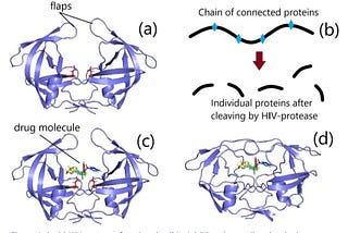 Proteins, supercomputers, and drug discovery