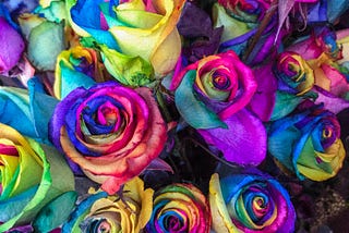 Flowers And Their Importance In Our Lives