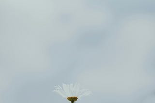 The Lesson Bell’s Palsy Taught Me About Self-Worth and Strength