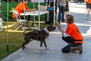 Barktoberfest blends brews and barks to benefit local pet-owners