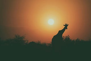 Quick Astrology: What does Sun conjunct Jupiter mean?