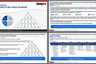 An Introduction to the 30 Elements of the Value Pyramid