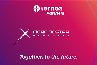 Ternoa’s new partnership with the Arab investment fund “Morningstar Ventures”