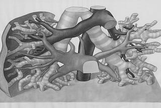 Greyscale pencil drawing of the intertwined airways and blood vessels inside a lung