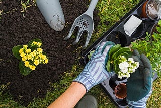 Organic Gardening’s Importance to the Garden Ecosystem