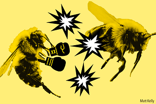 Bees can be aggressive. But it’s a waste of time.