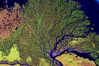 Data Science for Climate Change