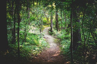 A dirt path through a forest