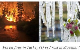 CHANGE FOR THE WORSE: FOREST FIRES IN TURKEY AND FROST IN SLOVENIA