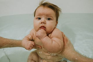 From startups to seniors