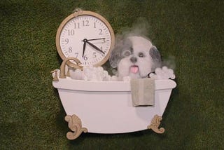 Mika Rottenberg and Mahyad Tousi, “Doggy Clock”, 2021