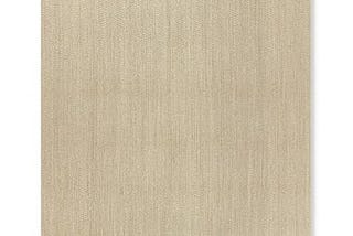 sirena-sisal-rug-6x10-concha-serged-edge-williams-sonoma-1