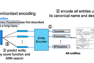 Building Bi-encoder based Entity Linking System with Transformer