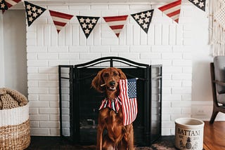 Can We Love America Without Disclaimers?