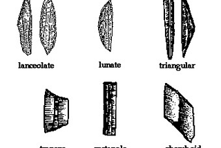 Mesolithic Age