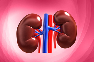 How Disordered Eating Impacts the Kidneys