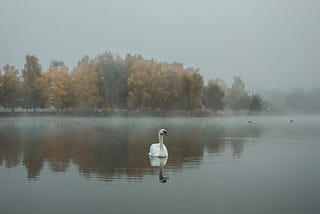 Lonesome Traveler