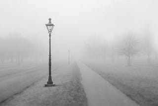 Lamp posts along a trail in the fog.