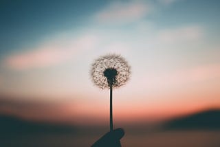[ID: a silhouette of a dandelion puff against a pink and blue sunset sky. The dandelion is being held by a tight fist, almost out of shot.]