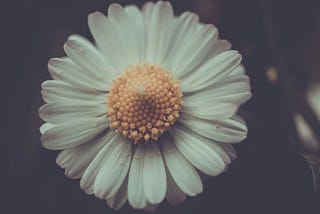 Intuition — A Special Power Only For Gifted People. Or So I Thought!