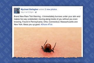 Fake News: Is There a New, Rare Tick That Burrows Under Your Skin Undetected?