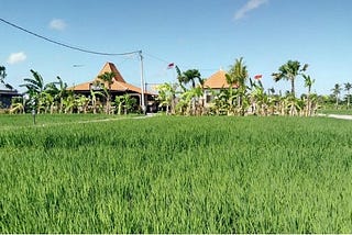 Considerations for Conducting User Interviews in Indonesia