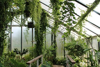 A Greenhouse, a Goddess, and a Ghost