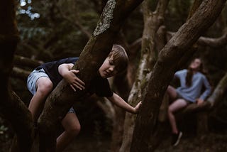 Climbing the Walls of Chaos: How My Family’s Diverse Passions Build Balance