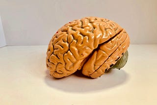 Your Mind Is Lying to You: Success Begins When You Stop Listening