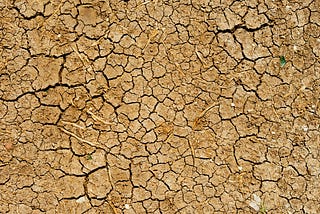 Parched ground during a drought