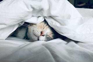 Restorative Sleep