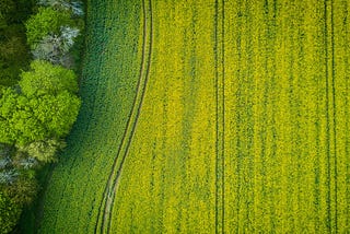 The Four Trends That Will Drive Farmland Prices in 2023