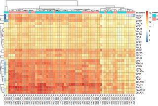 Image 2: Heatmap of the Gene Expression Levels for top 30 most Highly Expressed Genes