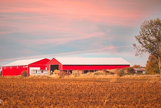 The Farm I Wish To Have